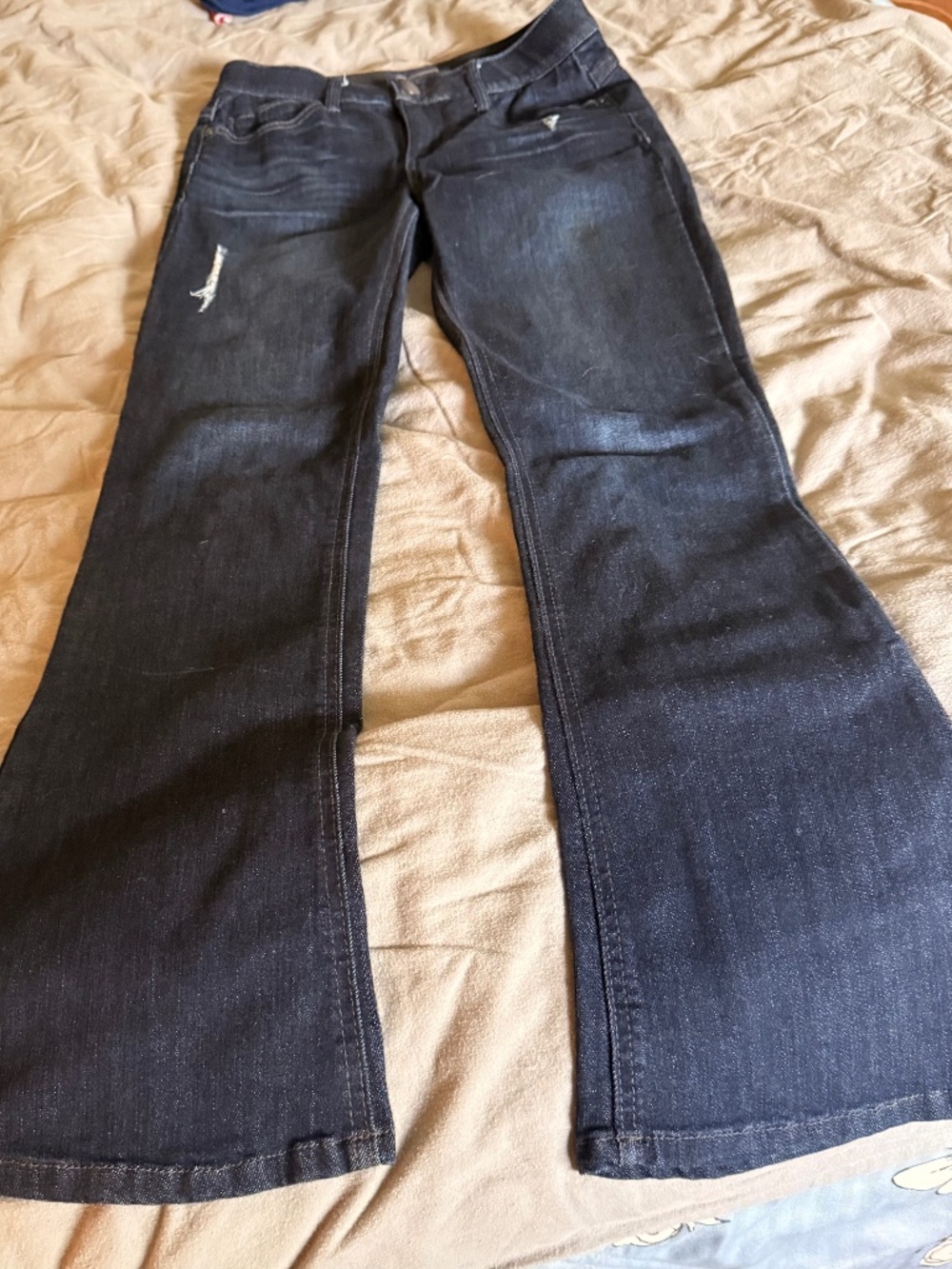 Democracy Ab-solution Bootcut Jeans